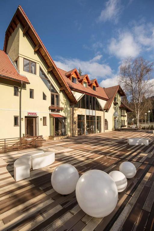 Vila Pinul Si Mesteacanul Poiana Brasov Exterior foto